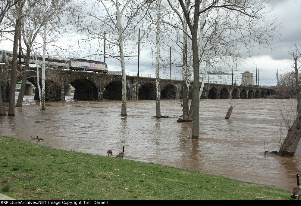 NJT 4531 heads east over a swollen Delaware River.